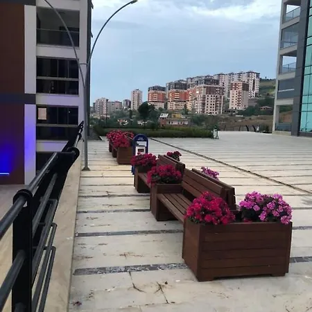 Net Group Suites